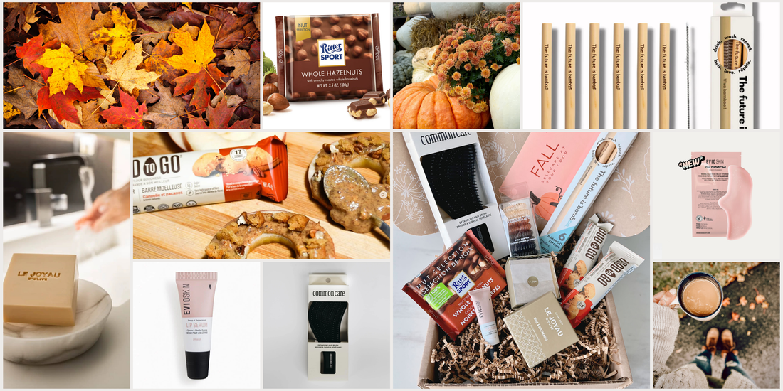Unboxing the Cozy Essentials: A Sneak Peek into the Fall 2024 Little Life Box